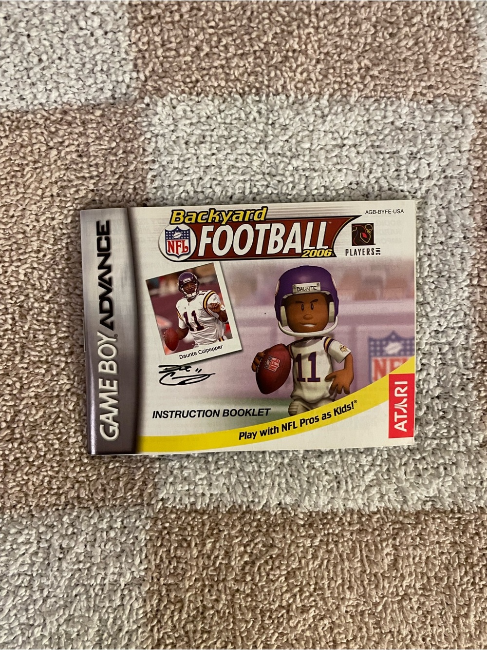 Gameboy Backyard Football 2006 instruction booklet manual